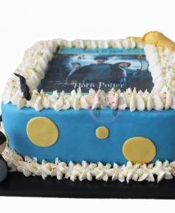 Harry Potter taart 16 personen bestellen