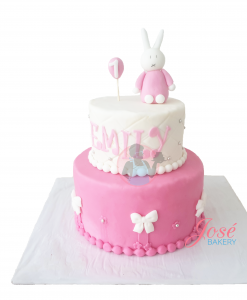 Nijntje taart 12 personen online bestellen