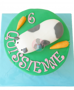 Cavia taart 18 personen bestellen