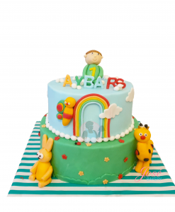 BabyTV eerste verjaardagstaart 22 personen