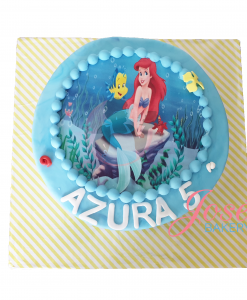 Ariel taart 8 personen