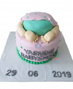 Baby billen taart groen en roze 17 personen