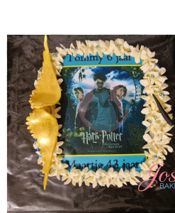 Harry Potter taart met poppetje 9 personen