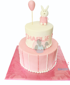 Nijntje kindertaart 17 personen